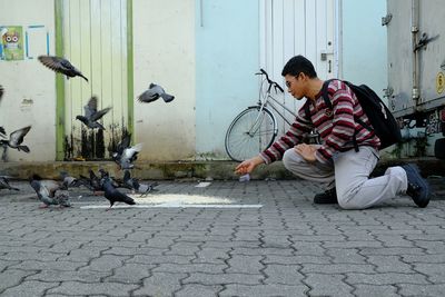 Man feeding birds on footpath
