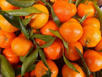 Full frame shot of oranges