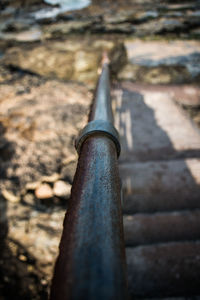 Close-up of plant against blurred background
