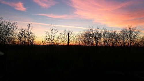 Silhouette trees against dramatic sky during sunset
