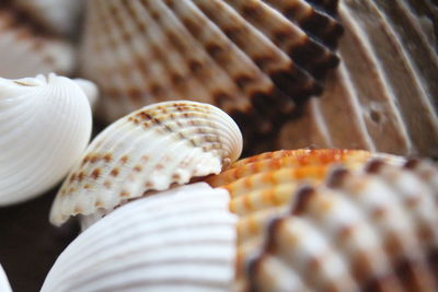 Close-up of bread