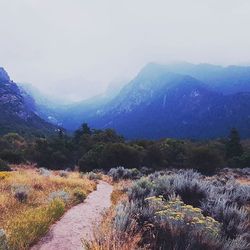 Landscape with mountain range in background