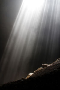 Low angle view of sunlight streaming on rock