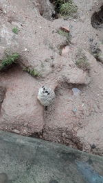 high angle view