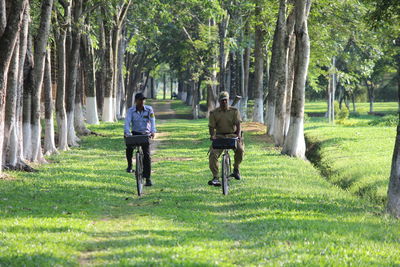 Rear view of man standing in forest