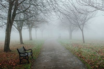 Empty road amidst bare trees during foggy weather