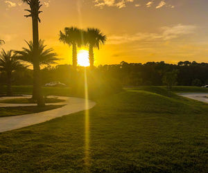 Scenic view of sun shining through trees during sunset