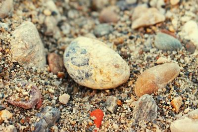 Close-up of pebbles on rocks