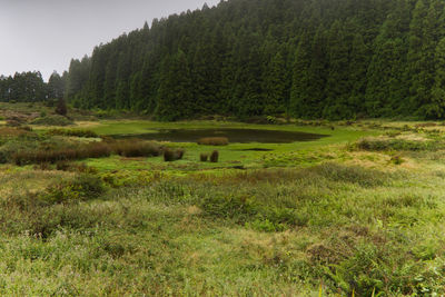 Scenic view of landscape