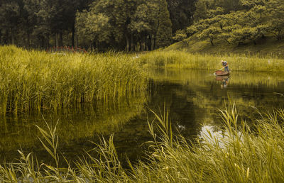 Scenic view of lake