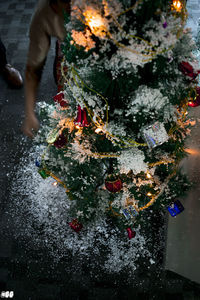 Christmas tree in snow