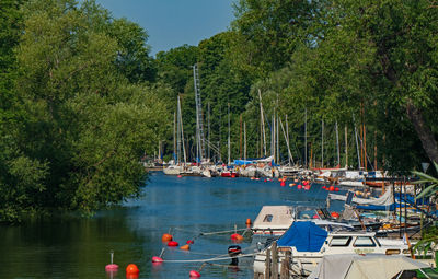 Sailboats moored on river by trees