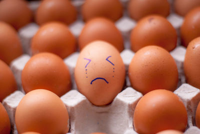 Close-up of eggs in row