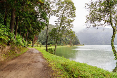 Scenic view of lake amidst trees in forest