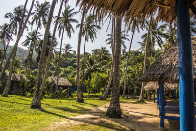Scenic view of palm trees on landscape against sky