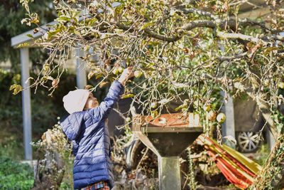 Rear view of woman working on tree