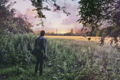 Scenic view of grassy field against sky