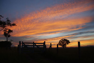 Silhouette trees on field against orange sky