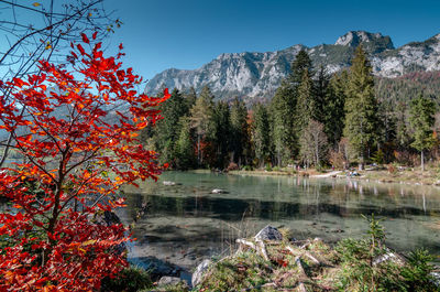 Trees by lake against sky during autumn