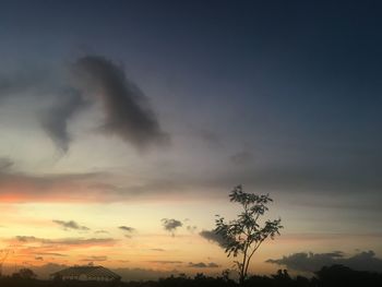 Low angle view of silhouette trees against sky during sunset