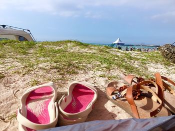 Plants against the sky