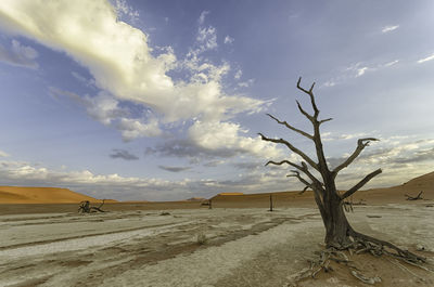 Scenic view of desert against sky