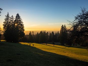 Scenic view of trees against sky during sunset