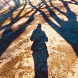 Shadow of people on street