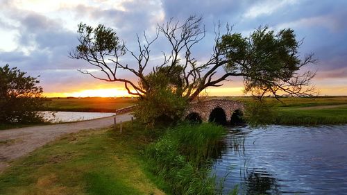 Scenic view of river at sunset