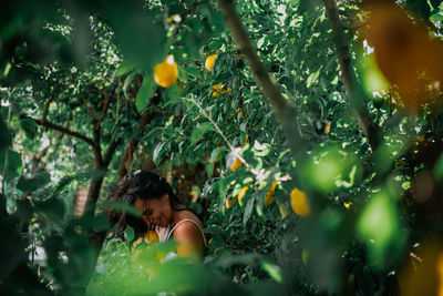 Low angle view of woman on orange tree