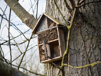 Low angle view of birdhouse on tree trunk