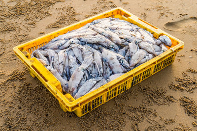 High angle view of yellow fish on beach