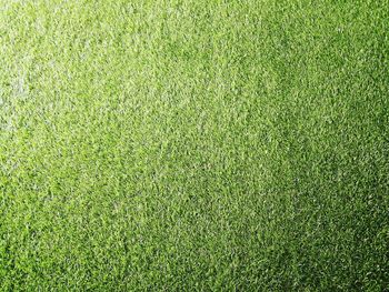Full frame shot of soccer field