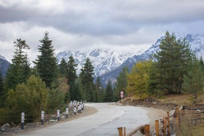 Road amidst trees and snowcapped mountains against sky