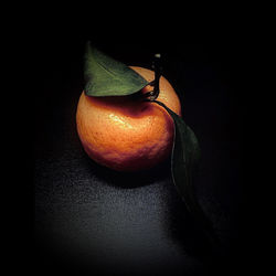 Close-up of fruits against black background