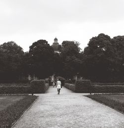 Man walking on road amidst trees against clear sky