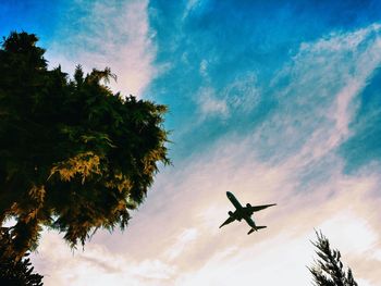 Low angle view of silhouette airplane flying against sky