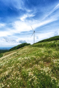 environment