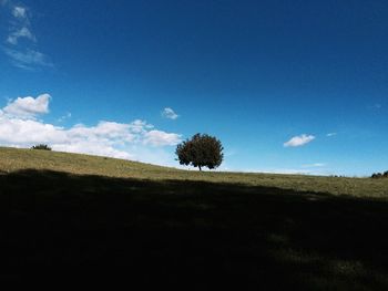 Scenic view of grassy field against blue sky