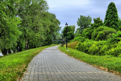 Footpath amidst trees and plants against sky