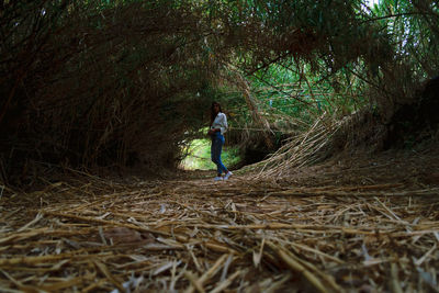 Rear view of man in forest