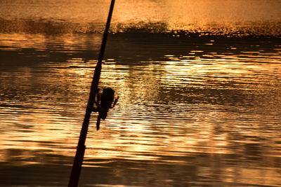 Silhouette bird in lake against sky during sunset