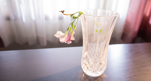 Close-up of glass vase on table