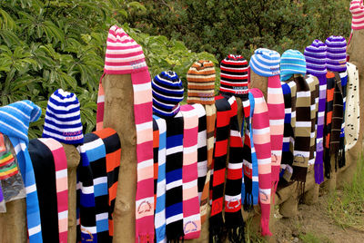 Multi colored flags on field