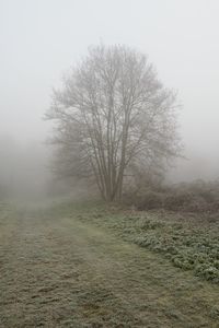 mist