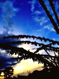 Low angle view of silhouette trees against sky