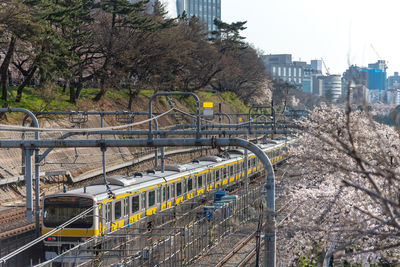 Railroad tracks amidst trees and buildings in city