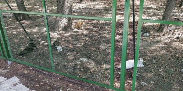 High angle view of railroad track