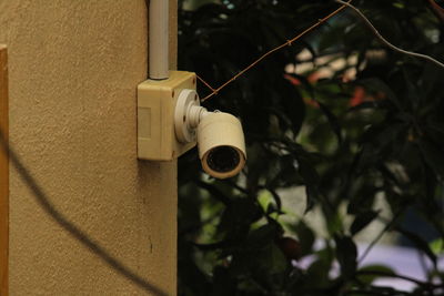 Close-up of electric lamp hanging on tree