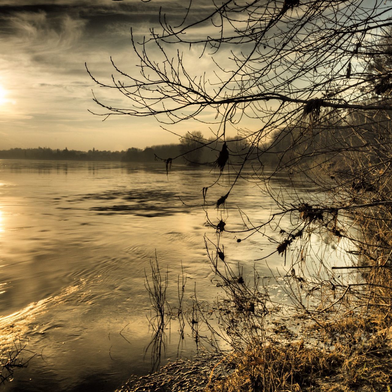 water, lake, tranquility, tranquil scene, bare tree, sky, sunset, scenics, beauty in nature, bird, nature, tree, reflection, animal themes, silhouette, branch, idyllic, lakeshore, animals in the wild, cloud - sky